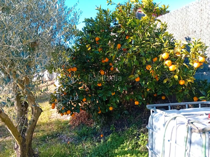 Foto 3eae8968-7c0b-4644-b790-450740e4f937. Fondo rustico in Llambilles