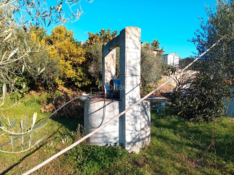 Foto 6623bdda-1bf6-42f4-a752-f7f86a053516. Fondo rustico in Llambilles