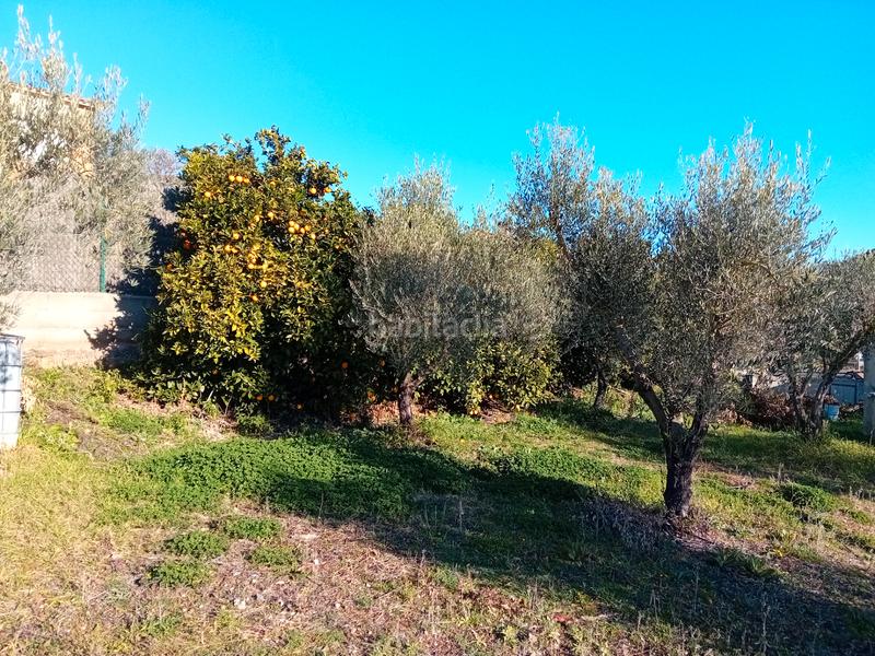 Foto 79281a57-3327-4034-a8b7-9a1ee351a54a. Fondo rustico in Llambilles