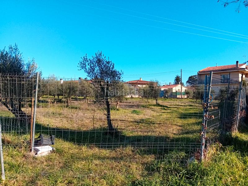 Foto 8dfe05f1-1841-48ef-b0de-467e15caf11d. Fondo rustico in Llambilles