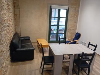 Location Appartement à Carrer de les ballesteries 17. Lloguer  pis barri vell, sol de tarda, terrassa i vistes  riu on