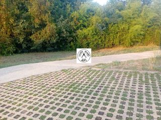 House in Palau