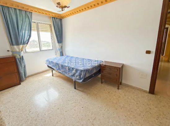 Foto fe1bed68-a7a4-44ae-9e26-fd369f8a3528. Pis a calle dátil 1-2 a Parque de la Paloma Benalmádena