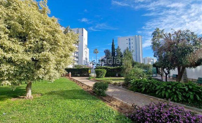 Foto 946a5995-bdc7-498a-bc07-d564673d6f63. Pis a avenida de los álamos 7 a Parque de la Paloma Benalmádena