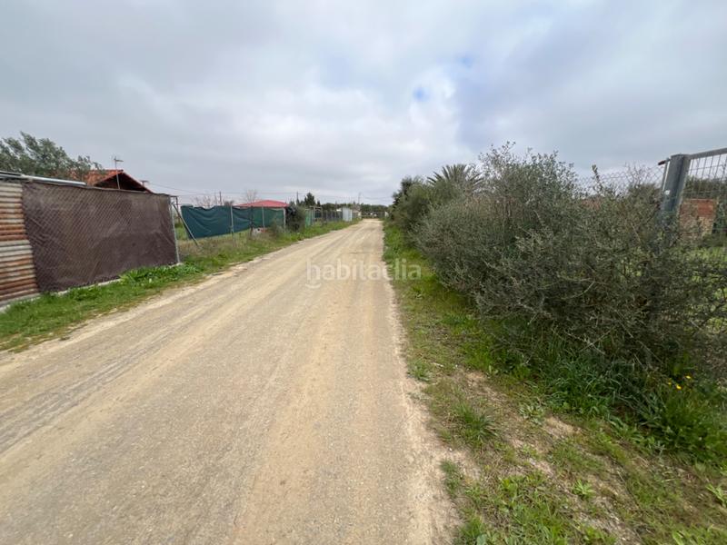 Foto d2bb9ec0-cb95-4463-bc89-e0212ae30f40. Finca rústica a n/a a La Hacienda - Nueva Andalucía Dos Hermanas