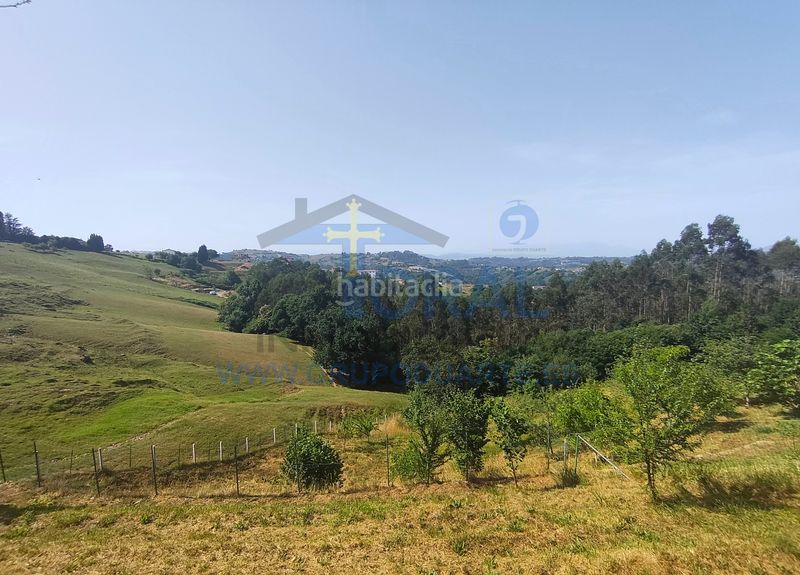 Foto 71aa1877-2748-49e1-a349-9f5dce28f457. Casa a camino cotariella 8570 a Parroquias Norte Siero