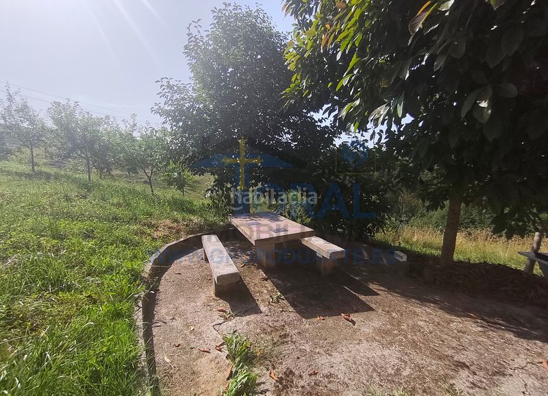 Foto a3af7c29-76c6-498f-90f9-c06aad044de4. Casa a camino cotariella 8570 a Parroquias Norte Siero
