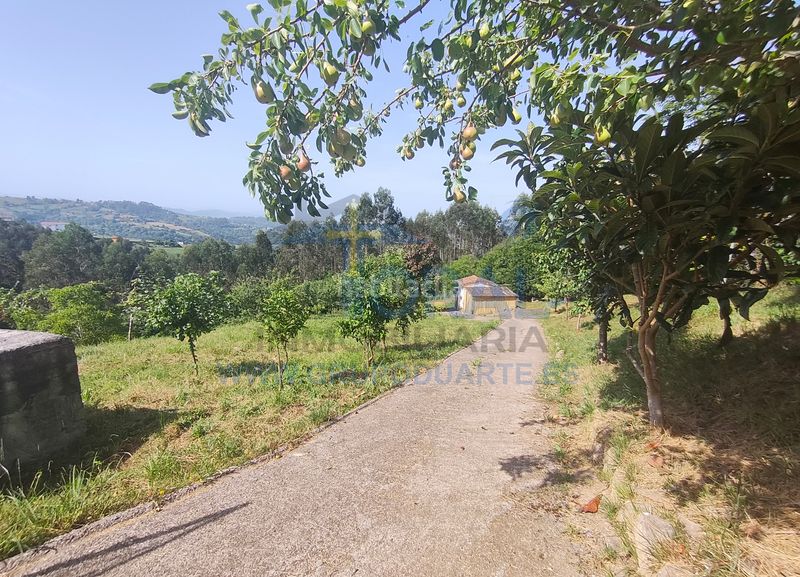 Foto f8a30851-4001-45db-87ba-3def4e39d09c. Casa a camino cotariella 8570 a Parroquias Norte Siero