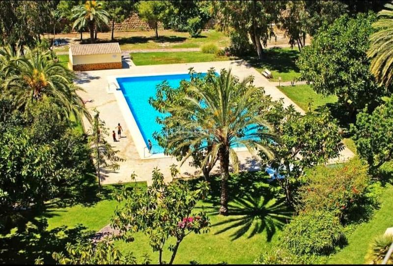 Foto b8bfa50b-0194-40c2-901d-c1547452a9e3. Pis amb piscina a Foietes Benidorm