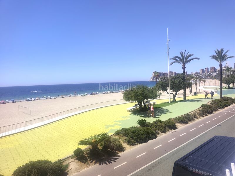 Foto fbbae73f-e2e9-433c-b7b1-4d3919146be9. Pis a Playa Poniente Benidorm
