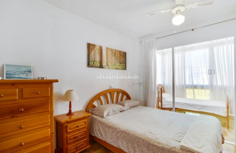 Foto 14fe6988-887c-4015-8462-4e38d8e3d9a1. Pis a Foietes Benidorm