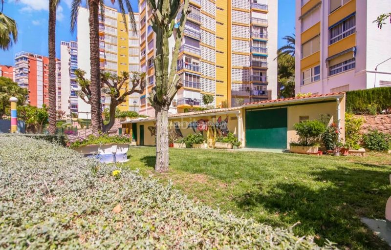 Foto 39b8e08e-b174-4d33-8711-7067addbbc3e. Pis a Foietes Benidorm