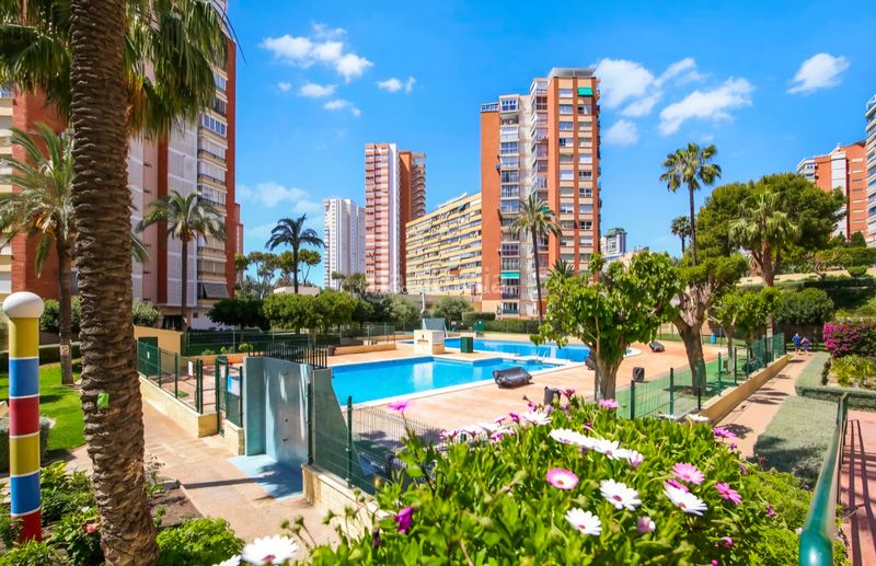 Foto 8809520f-0964-485a-b06b-c8a22bbbad1a. Pis a Foietes Benidorm