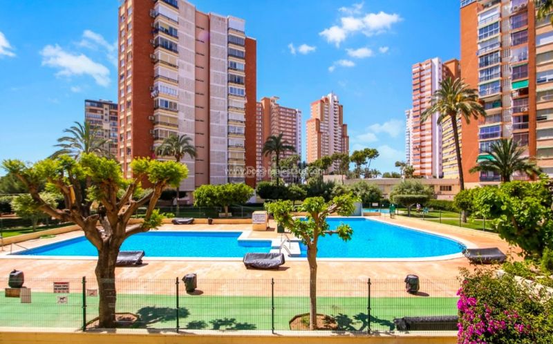Foto bacf9194-1667-4798-968b-ede059595a11. Pis a Foietes Benidorm