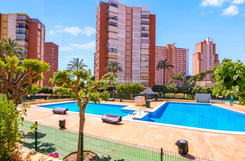 Foto bfe88b76-fa7f-4a50-98f4-8e0b134e615c. Pis a Foietes Benidorm