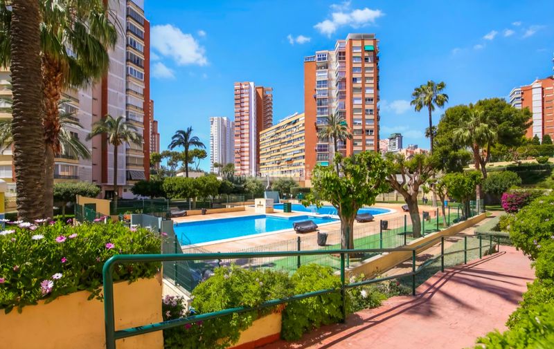 Foto ea969287-22c2-41c0-aa59-7e91fc1ca217. Pis a Foietes Benidorm