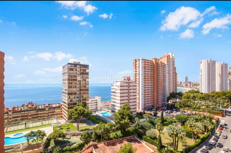 Foto ebbf4f84-8164-4779-9d6f-04158dd824b4. Pis a Foietes Benidorm