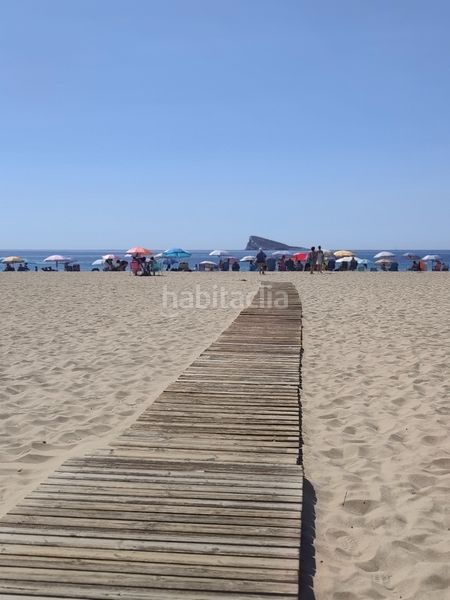 Foto 9998ee7e-6784-4af6-86bf-fb5f9018ba8d. Pis a Playa Poniente Benidorm