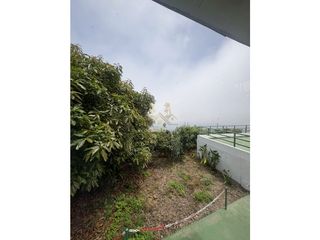Masía en Palo Blanco. Encantadora finca con vista al mar en los realejos