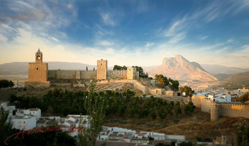 Foto 8311ebc4-c39f-425a-bcf6-f32aac0e297b. Terreny residencial a urbanizacion Antequera golf 164 a Antequera