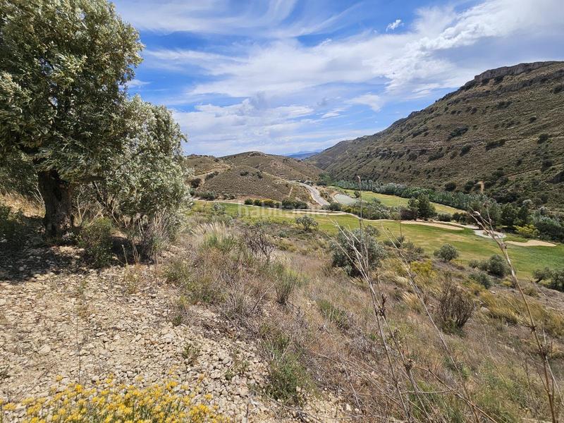 Foto 8e318789-8980-4ee5-944e-63e610457fa5. Terreny residencial a urbanizacion Antequera golf 164 a Antequera
