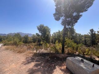 Residential Plot in Polop. Parcela con un gran potencial para urbanizar en polop
