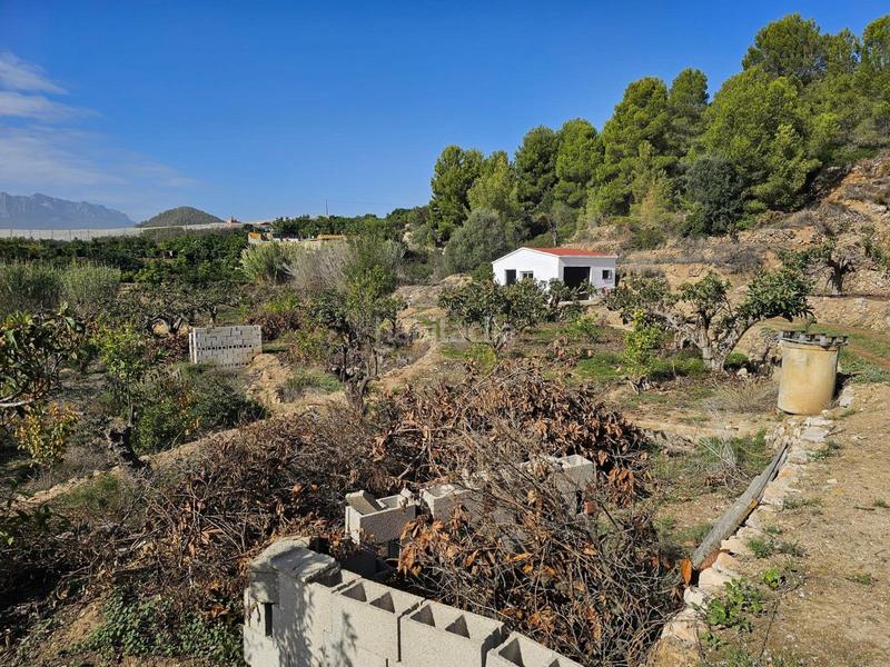 Foto c4508017-1bfa-4ff8-bb3f-97512ea89a56. Landgut in Callosa d´en Sarrià