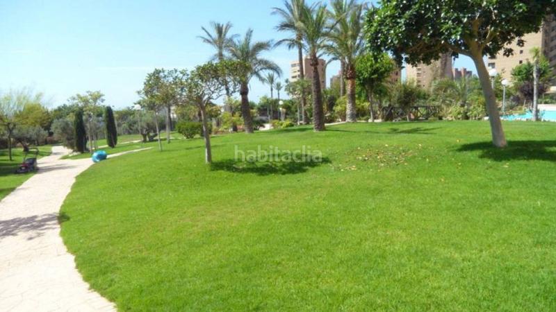 Foto fce0f47e-67f0-429d-84dd-110a442f4054. Apartamento en Playa Poniente Benidorm