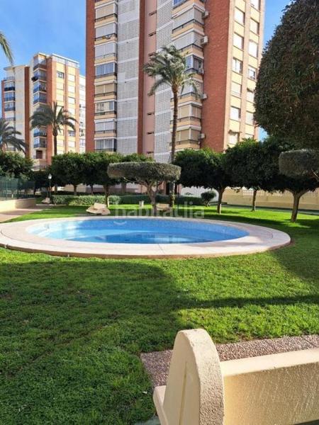Foto 560e8ca7-c209-44c2-80d7-96ef9b5e2564. Apartamento en Playa Poniente Benidorm