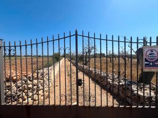 Rural plot in Can Picafort. Oportunidad!! solar con proyecto aprobado para edificar villa de