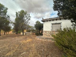 Mas à Quintanar de la Orden. ¡oportunidad única! finca agrícola de más de 2 hectáreas con oli