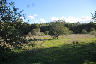 Finca rústica a Santa Gertrudis