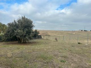 Rural plot  Finca el rondelo. Magnífica parcela en venta