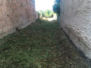 Terreny residencial a Avinguda de tudela 31. Sòl urbà de 320m2 destinat ús residencial (habitatge unifamiliar