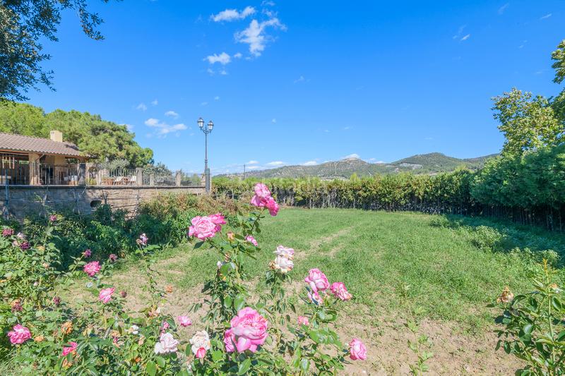 Foto e4951fa8-42b0-47b4-9055-942a7359c27f. Casa con camino riscaldamento parcheggio piscina in Sant Vicenç de Castellet