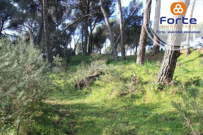 Foto bf9a0439-038e-41b2-b402-70232154d26f. Terreno residencial terreno edificable en Cerro Muriano Córdoba