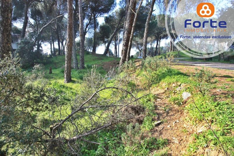 Foto c4bd33b2-c3a1-43aa-8e31-fe06a53fec89. Terreno residencial terreno edificable en Cerro Muriano Córdoba