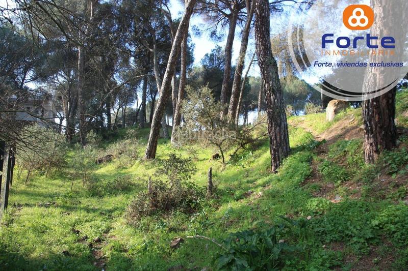 Foto fa696764-57c4-4624-a005-2b9b9f30d0e7. Terreno residencial terreno edificable en Cerro Muriano Córdoba