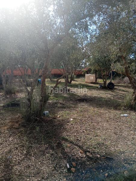 Foto 26e94674-e969-463b-bad6-304f6af99075. Alquiler finca rústica en n/a se alquila terreno en don rodrigo en Utrera