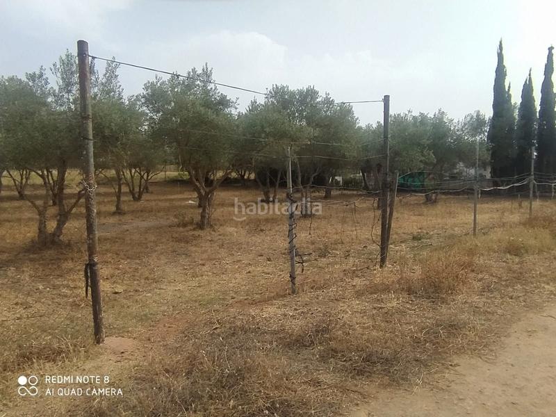 Foto b7160943-4b82-46ef-9bec-4df390b3cc78. Alquiler finca rústica en n/a se alquila terreno en don rodrigo en Utrera
