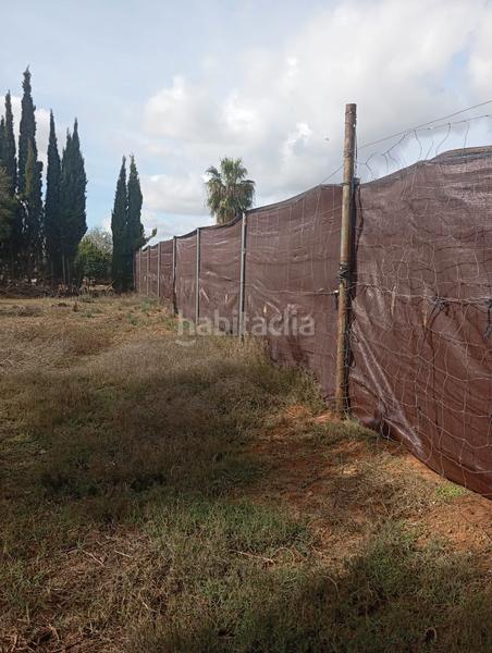 Foto bb2d3cf6-b3c1-4a65-9354-2a7e1d303edc. Alquiler finca rústica en n/a se alquila terreno en don rodrigo en Utrera