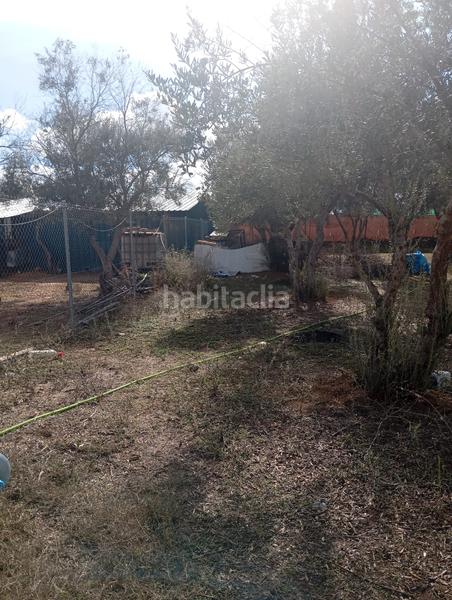 Foto 17eba008-3cfa-4619-b9b4-bb9e5abefc33. Lloguer finca rústica a n/a a Pedanías Norte Utrera