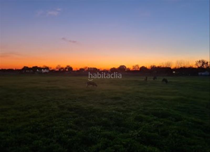 Foto 1565d4b6-6374-4316-8a9a-c9208734b854. Location propriété dans n/a dans Pedanías Norte Utrera