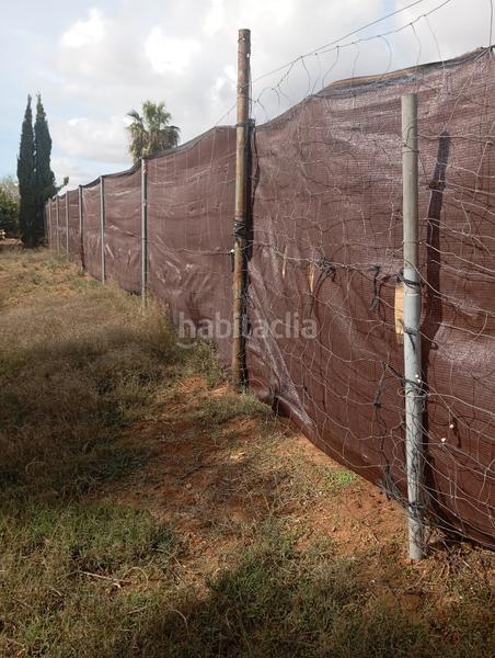 Foto 6cfedaed-e426-4658-a283-23c96f05e23e. Location propriété dans n/a dans Pedanías Norte Utrera