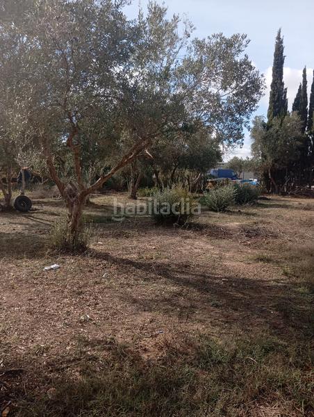 Foto cd7a4a68-a6a9-4bff-8bce-4a82d08e2d24. Location propriété dans n/a dans Pedanías Norte Utrera