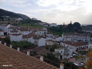 Local Comercial a Bosque (El). Anteproyecto residencia de ancianos y centro de día