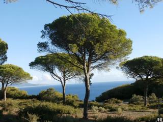 Finca rústica a Barbate. Proyecto para camping en paraje natural, cádiz