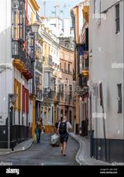 Foto 7fb56482-0706-4dc6-9dd2-c458495841c2. Piso  en venta calle santiago. en Santa Catalina Sevilla