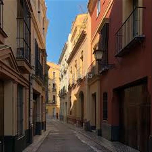 Foto 4e2d6c03-154e-4f6f-ab85-18c7e32ffdfd. Pis a Arenal - Museo Sevilla