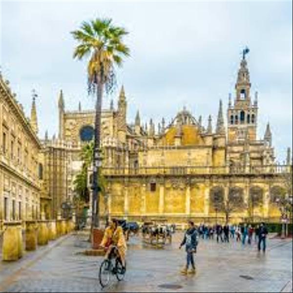 Foto b23c04a5-99bf-485e-9b49-58246a058381. Pis a Arenal - Museo Sevilla